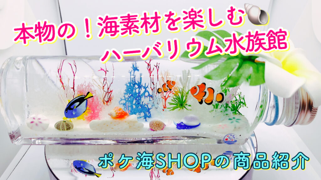 ポケ海SHOPのハーバリウム水族館（本物の海素材が楽しめる♡海物作り）