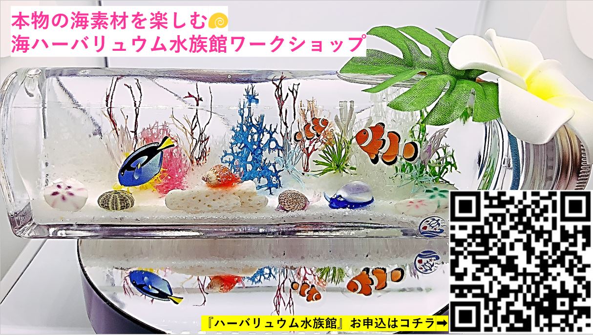 琉球*海のたね ゴアナクロー ハーバリウム