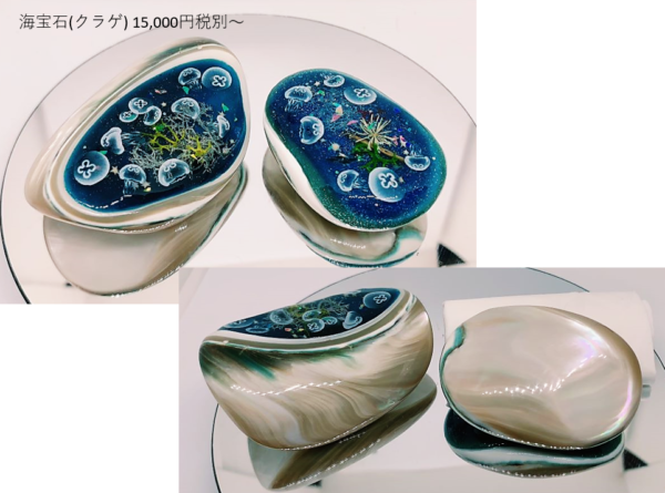 夜光貝　ヤコウ貝　まとめ売り　10個　6、2kg    アクセサリー　ルアー 夜光貝 ヤコウ貝 まとめ売り 12個 15kg アクセサリー ルアー 夜光貝